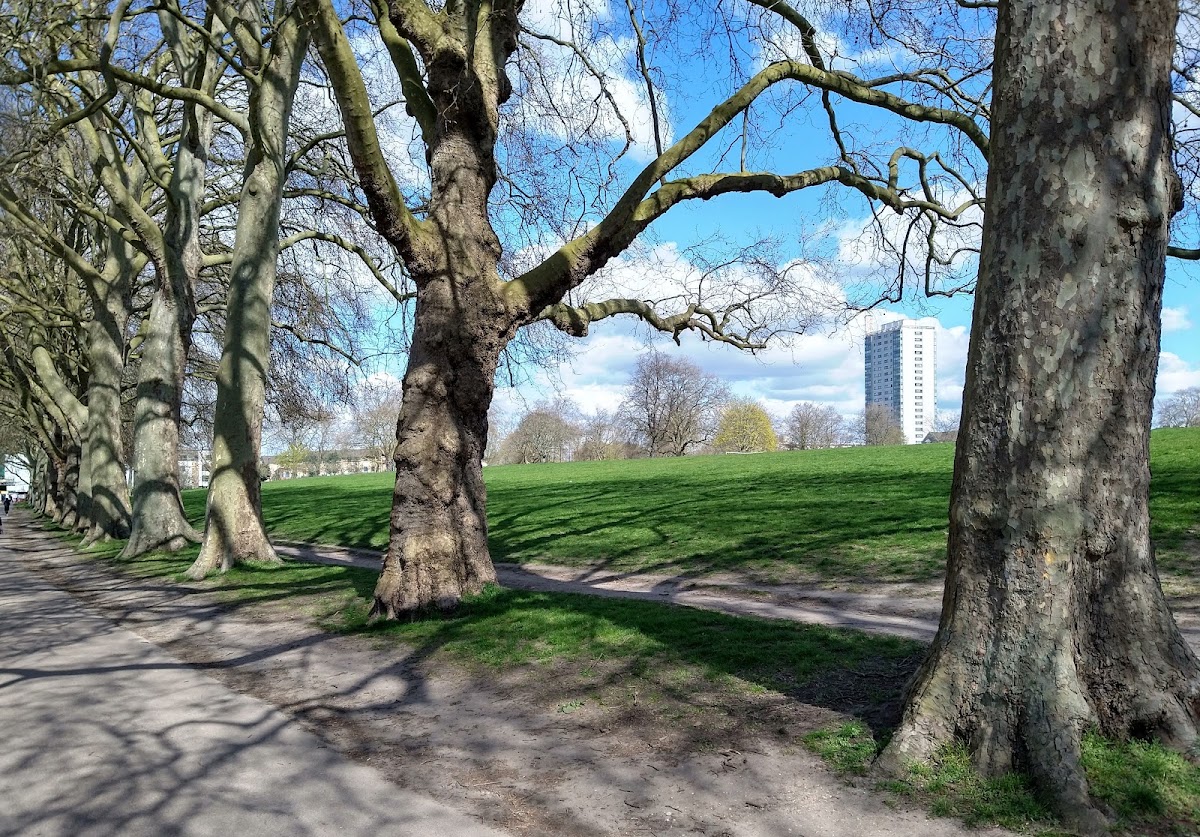 Hackney Downs