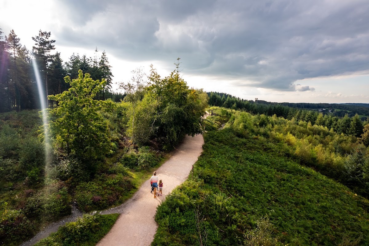 Haldon Forest Park