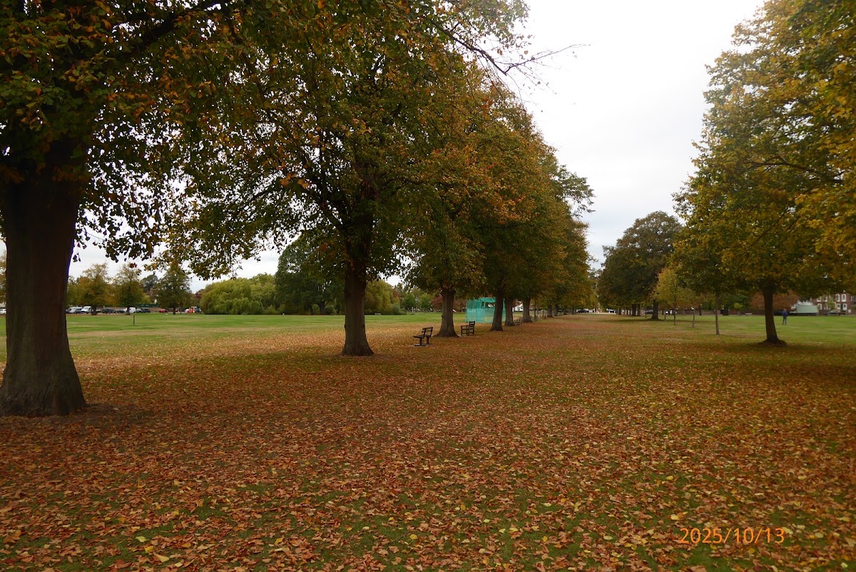 Ham Common