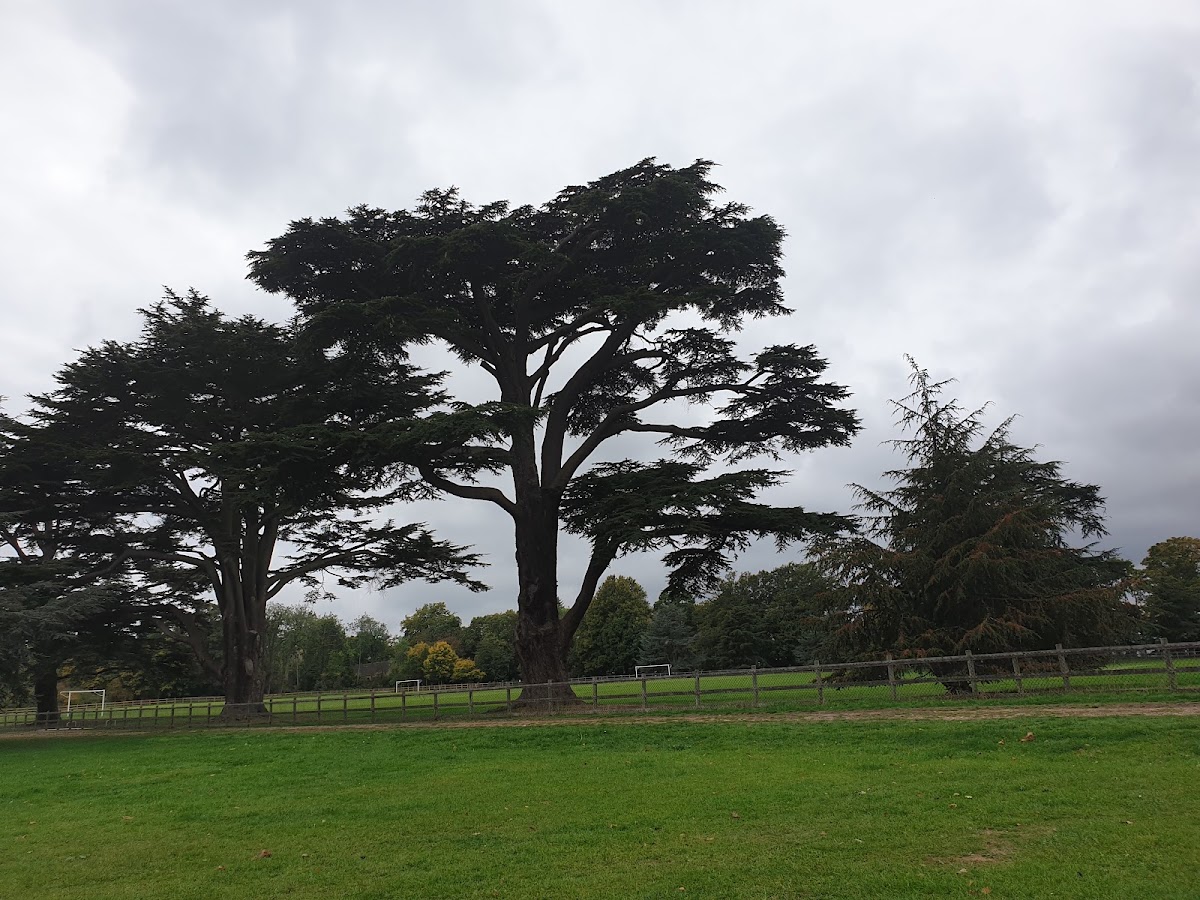 Hardwick Heath