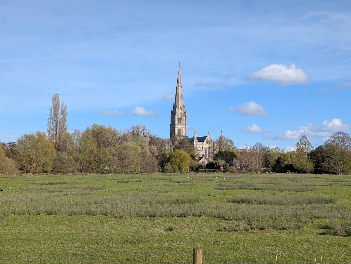 Harnham Water Meadows and Town Path