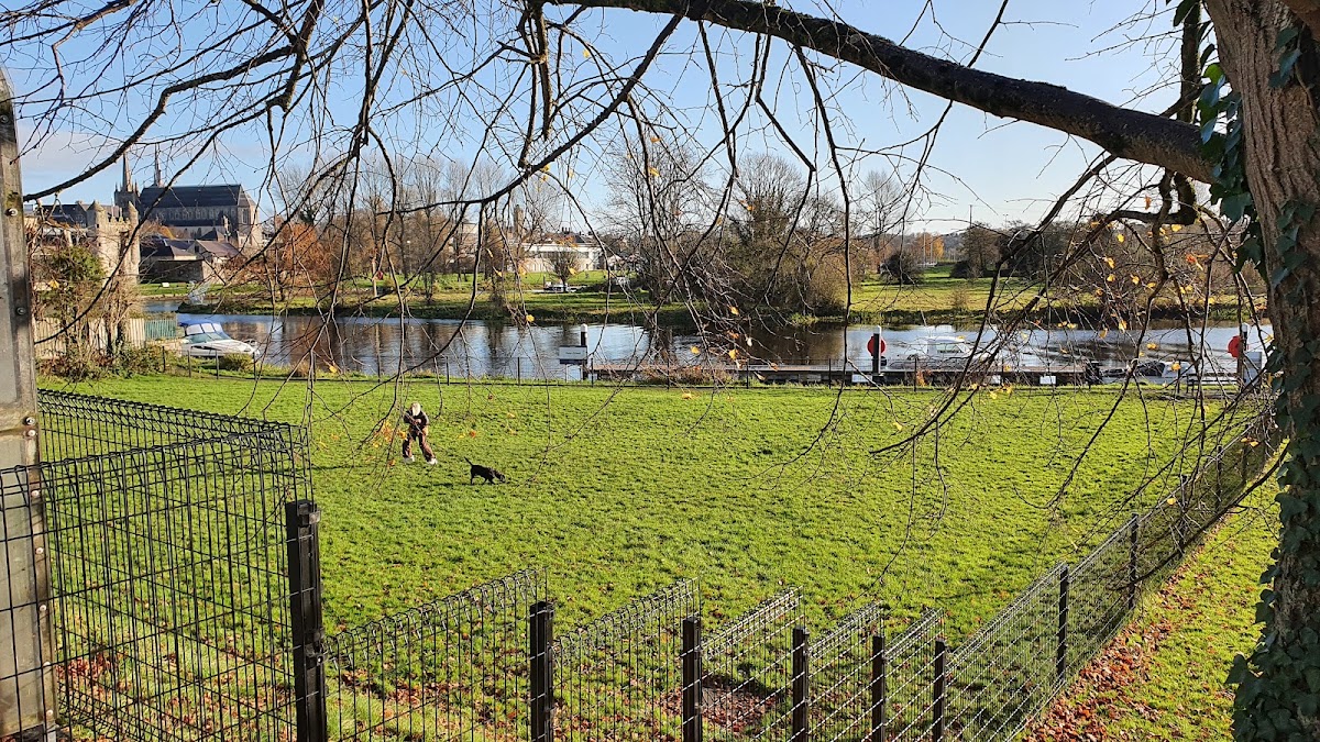 Henry Street Dog Park