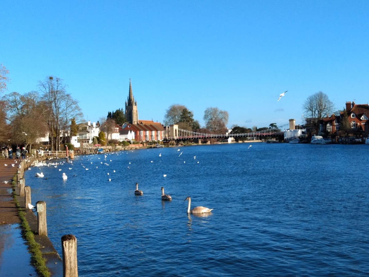 Higginson Park
