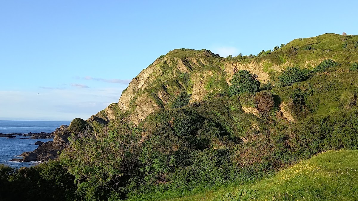 Hillsborough Nature Reserve