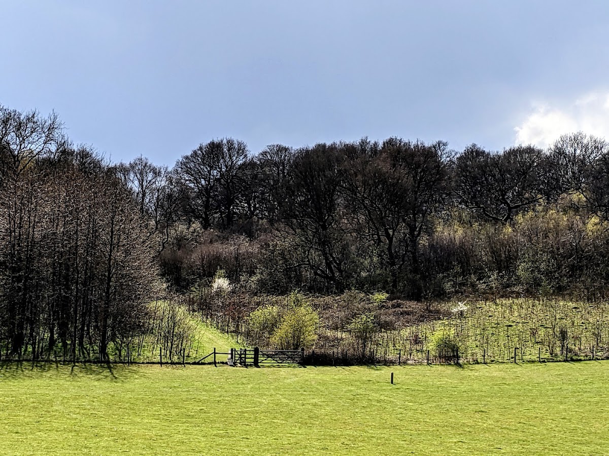 Hucking Estate
