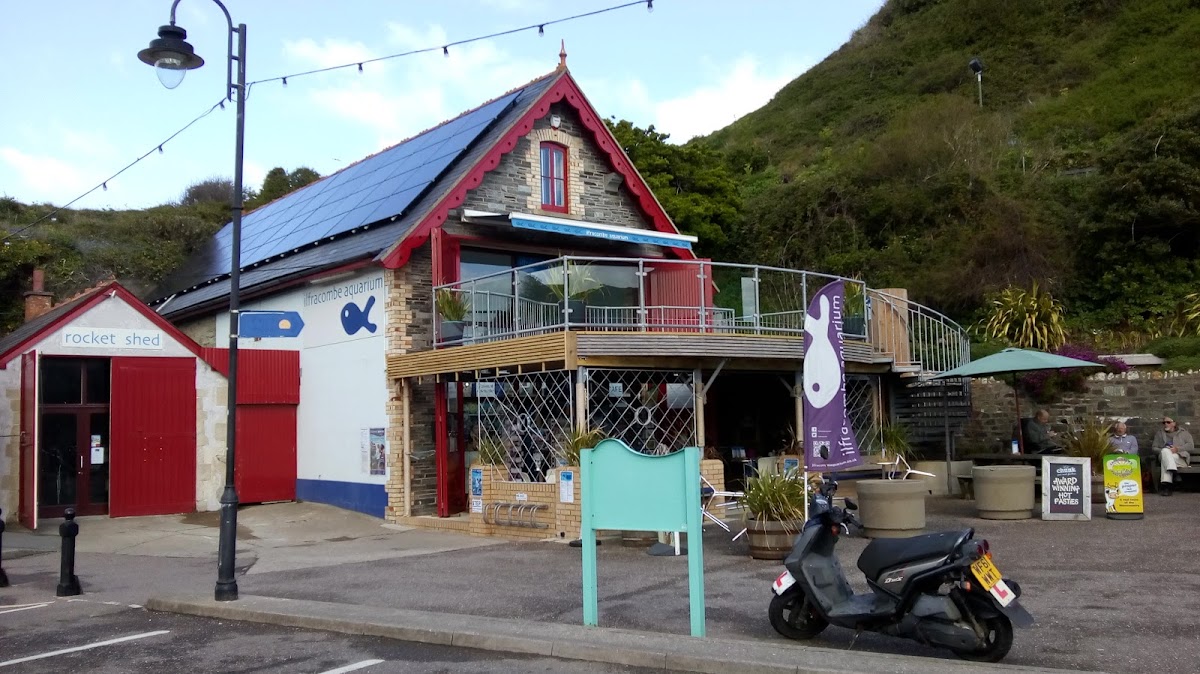Ilfracombe Aquarium