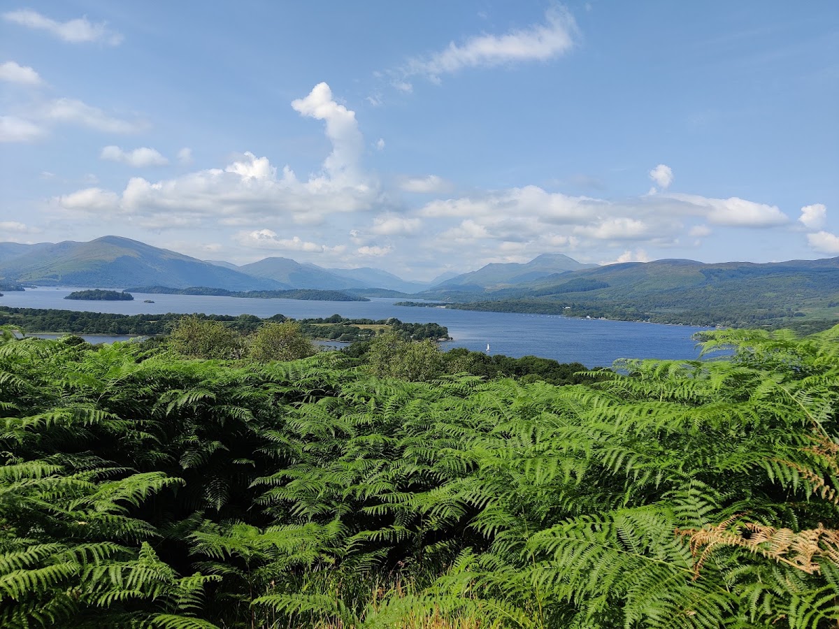 Inchcailloch Island
