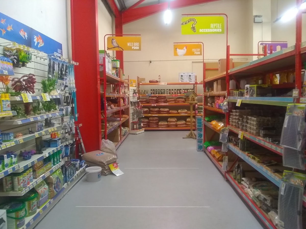Jollyes Coleraine
