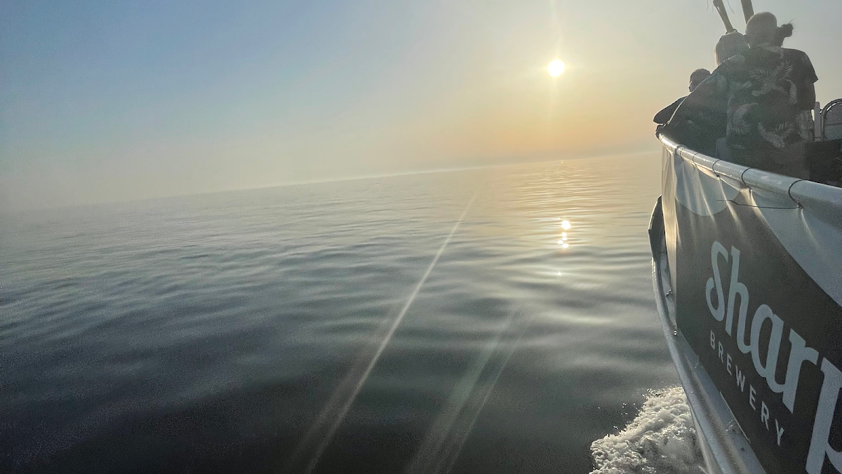 Jubilee Queen Cruises
