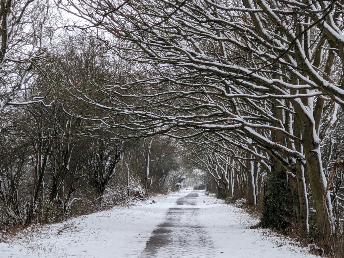 Kenilworth Greenway