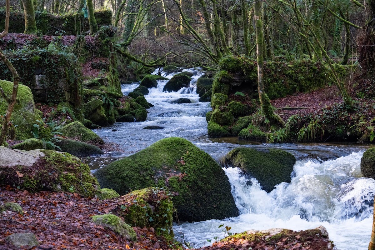 Kennall Vale Nature Reserve
