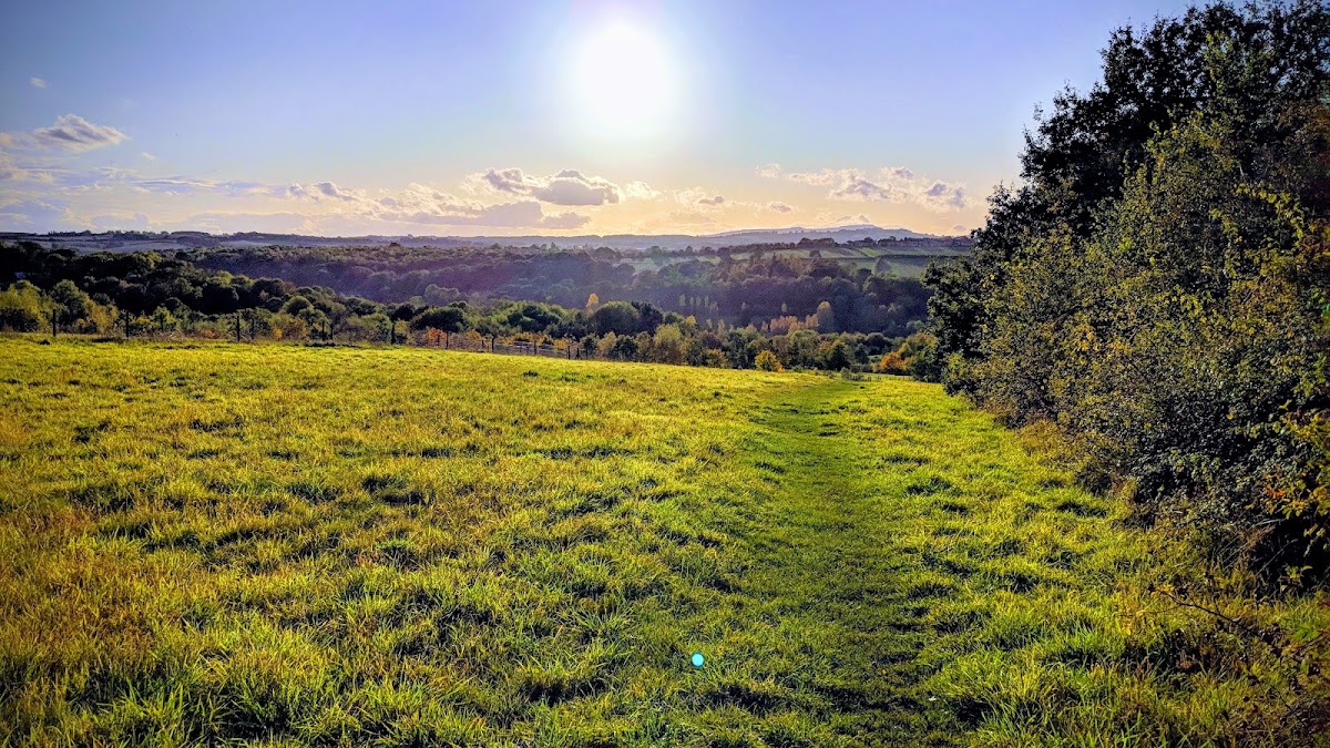 Kestrel Cafe (Severn Valley Country Park)