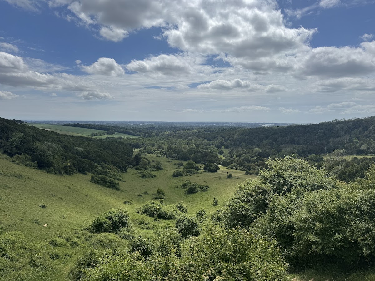 Kingley Vale