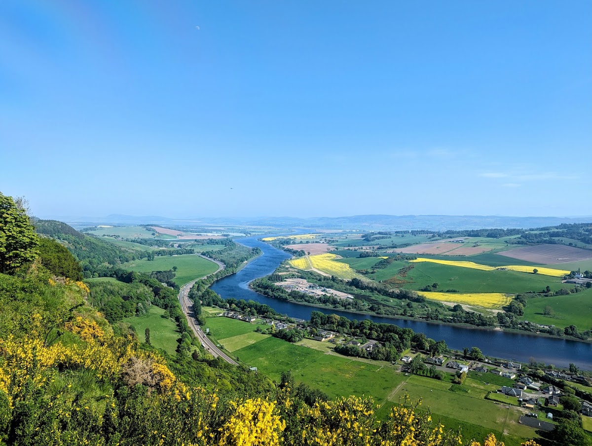 Kinnoull Hill Woodland Park