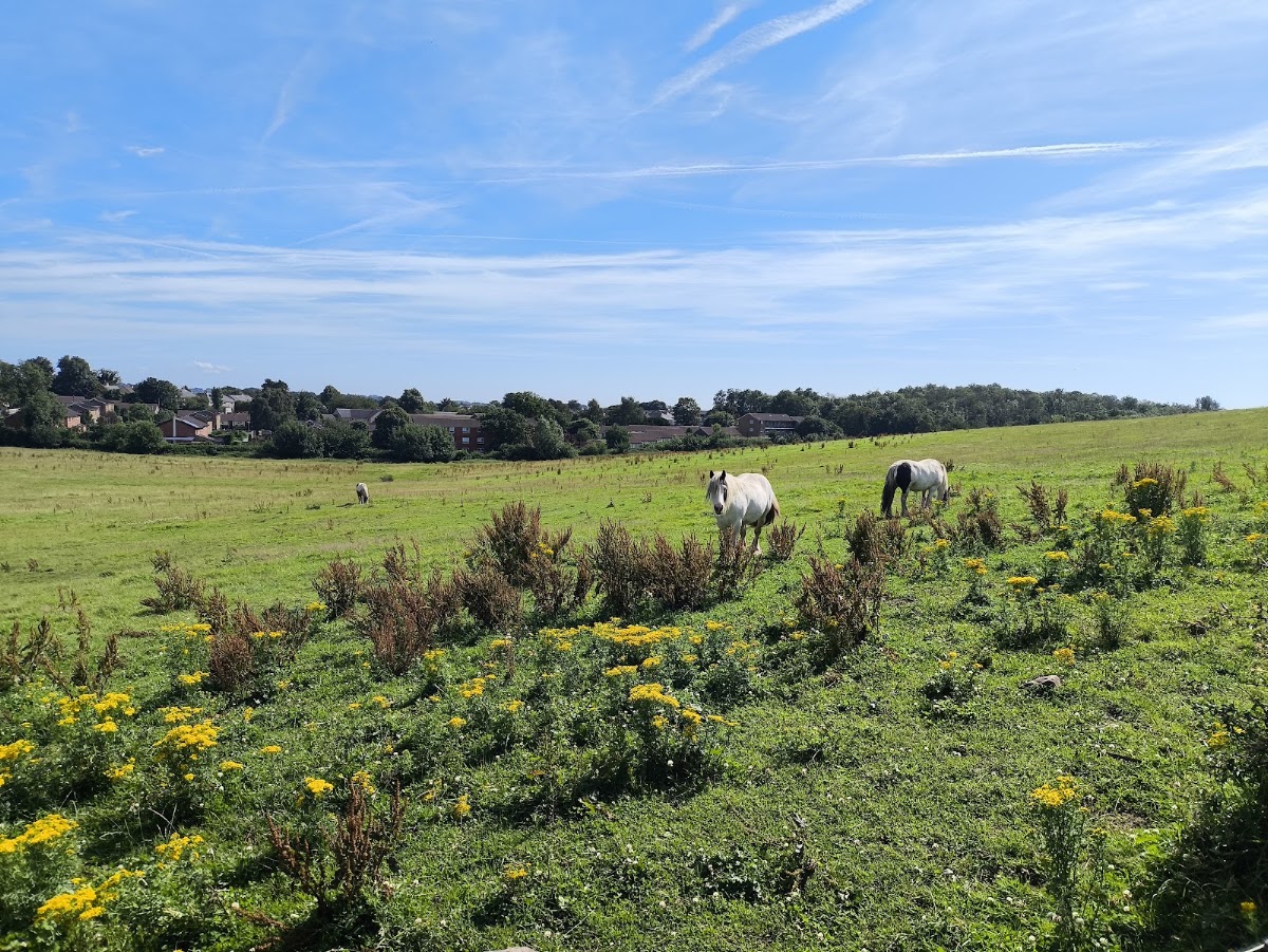 Lancaster Canal Towpath