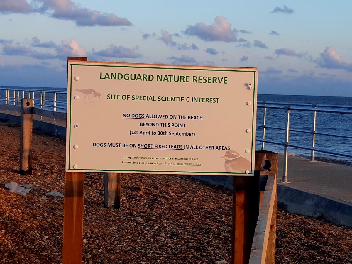 Landguard Nature Reserve