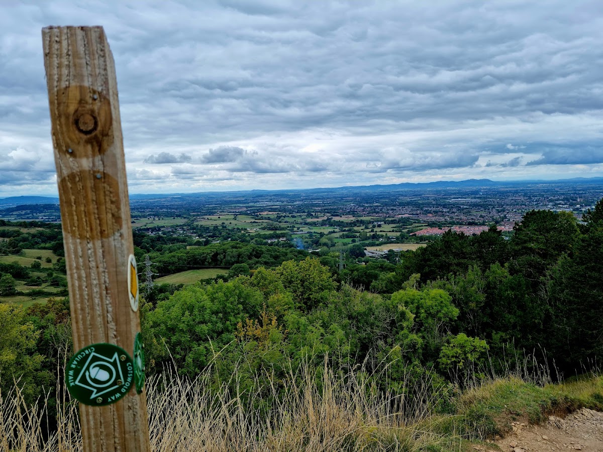 Leckhampton Hill