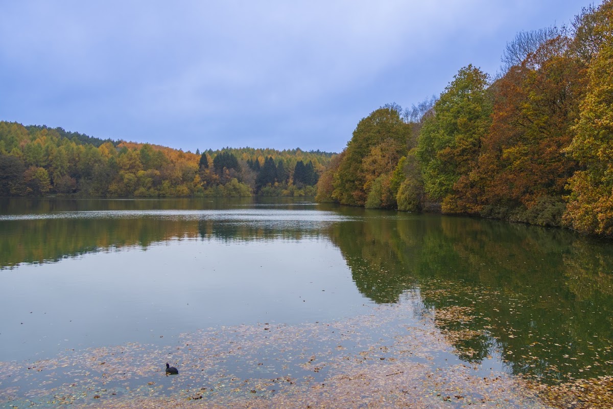 Linacre Reservoirs