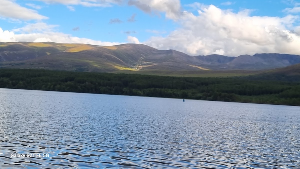 Loch Morlich Beach