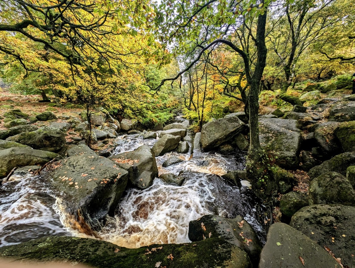 Longshaw Estate