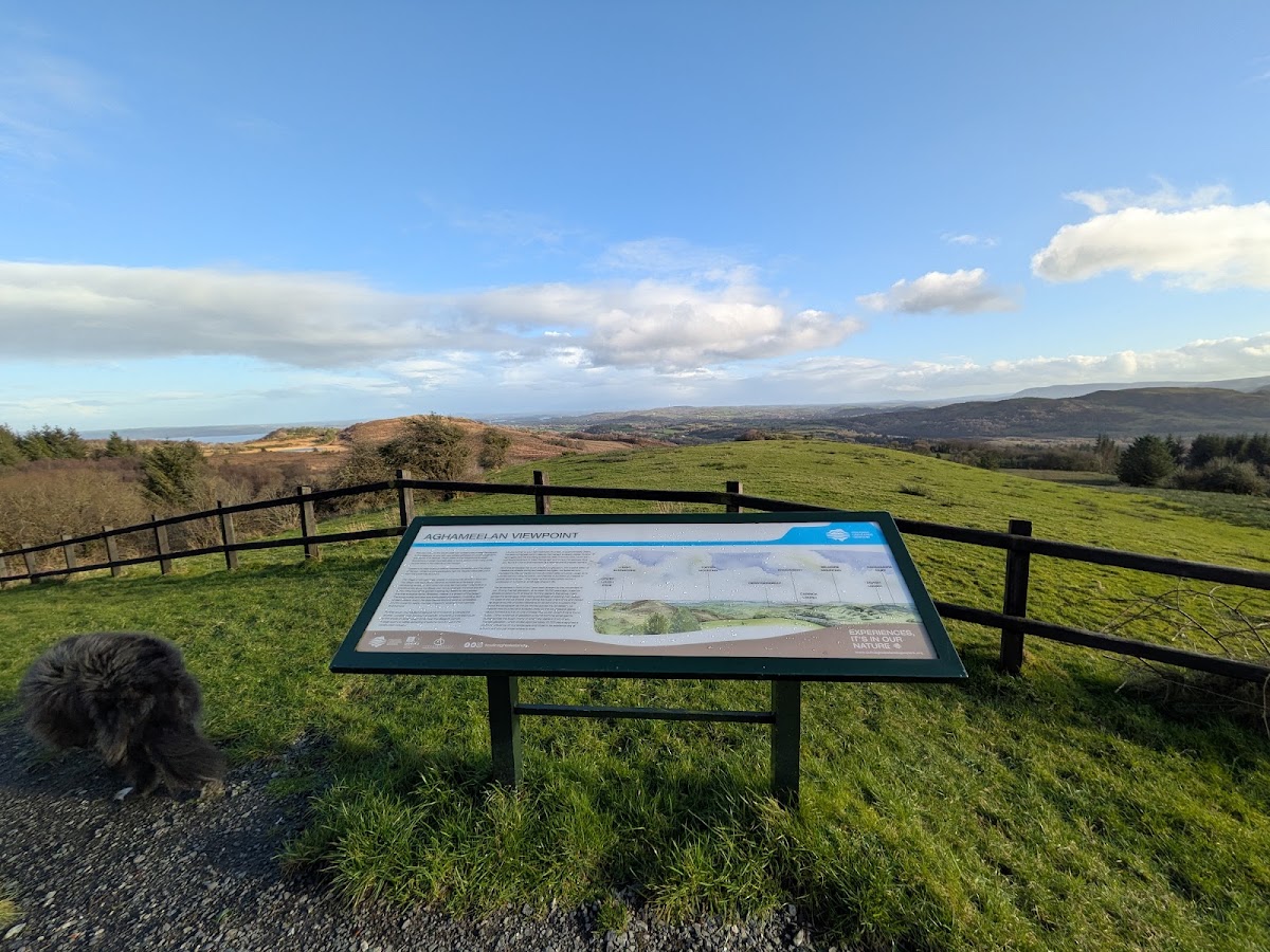 Lough Navar Forest