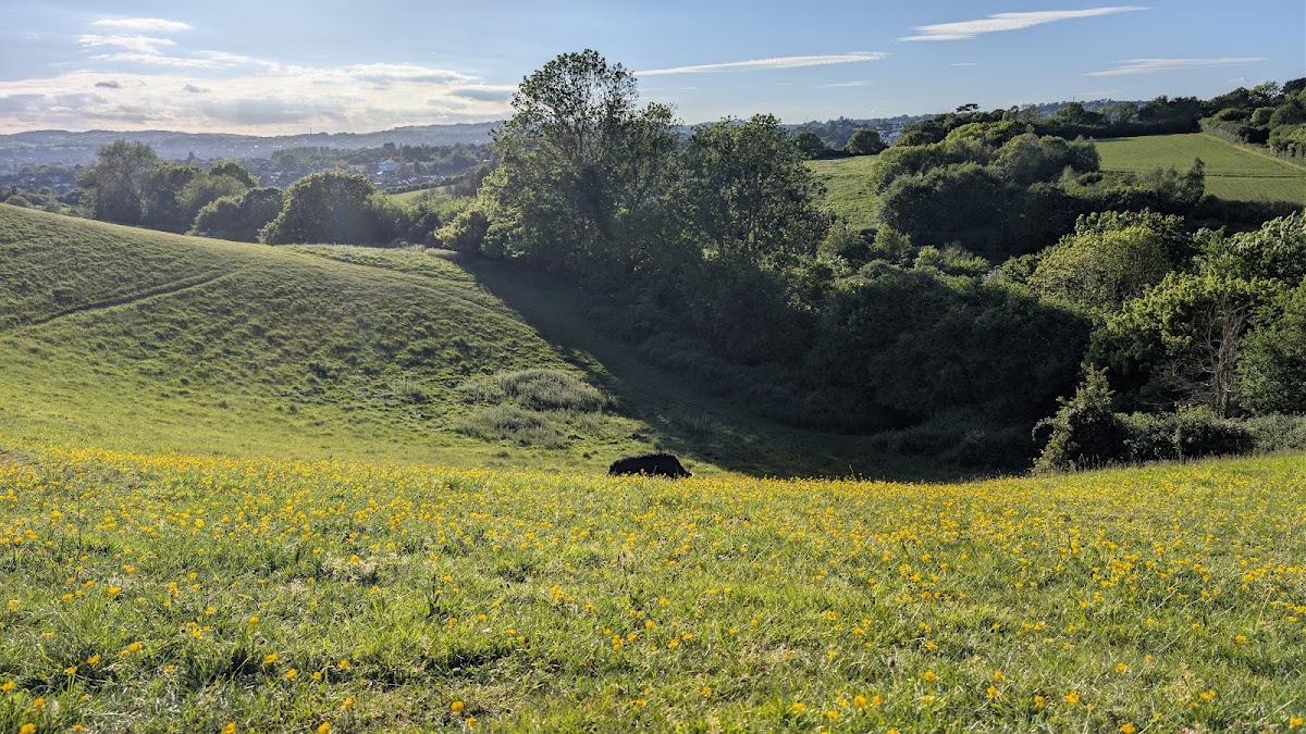 Ludwell Valley Park