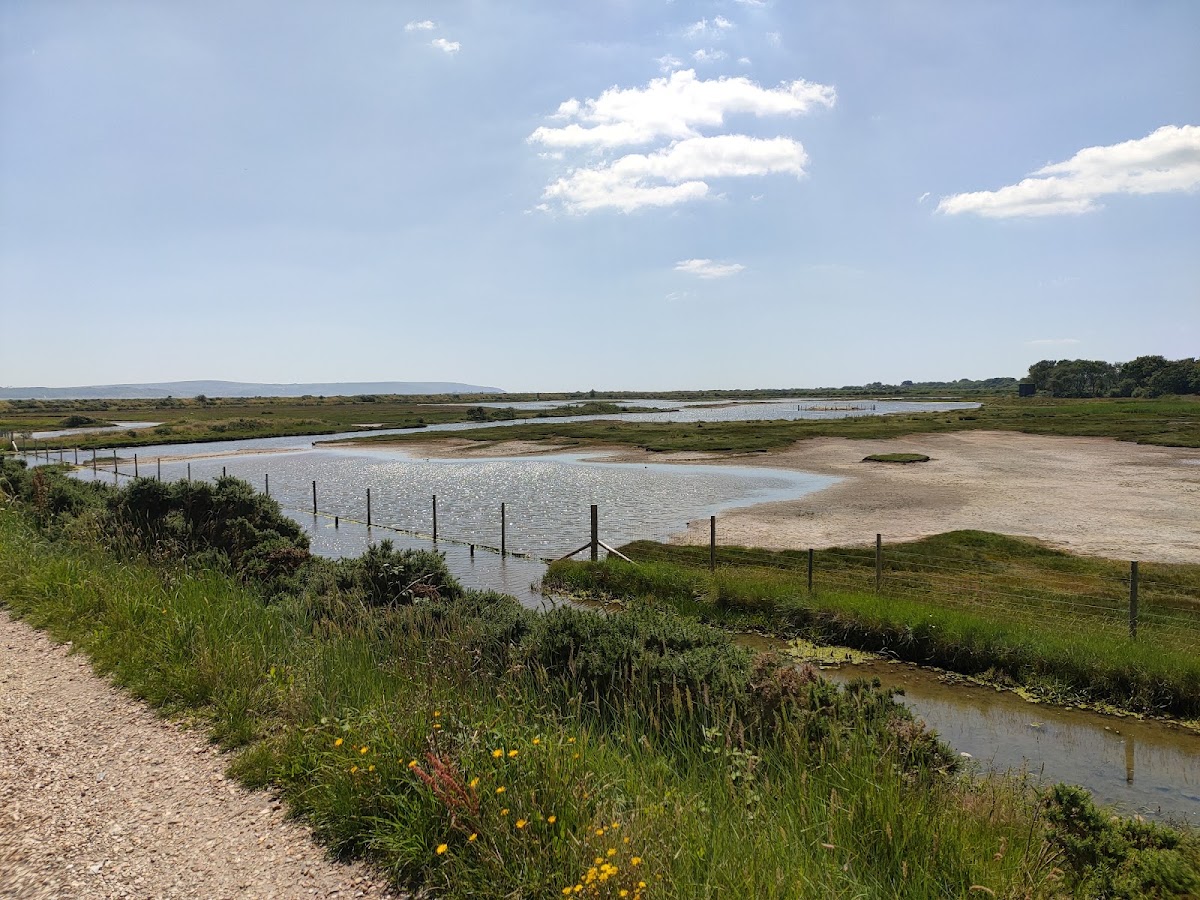 Lymington-Keyhaven Nature Reserve