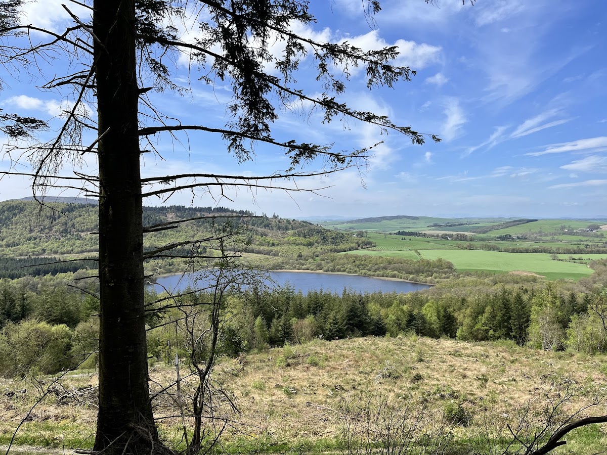 Mabie Forest