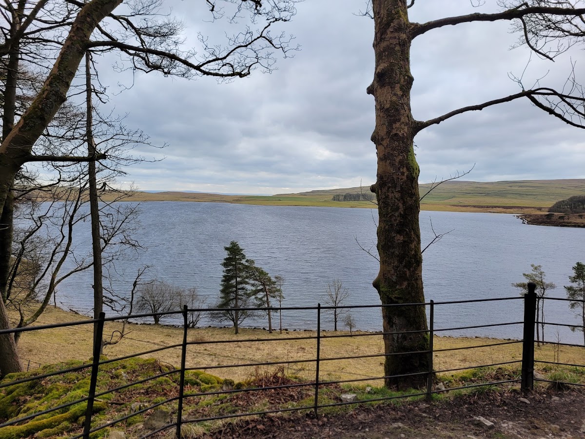 Malham Tarn Upland Circular