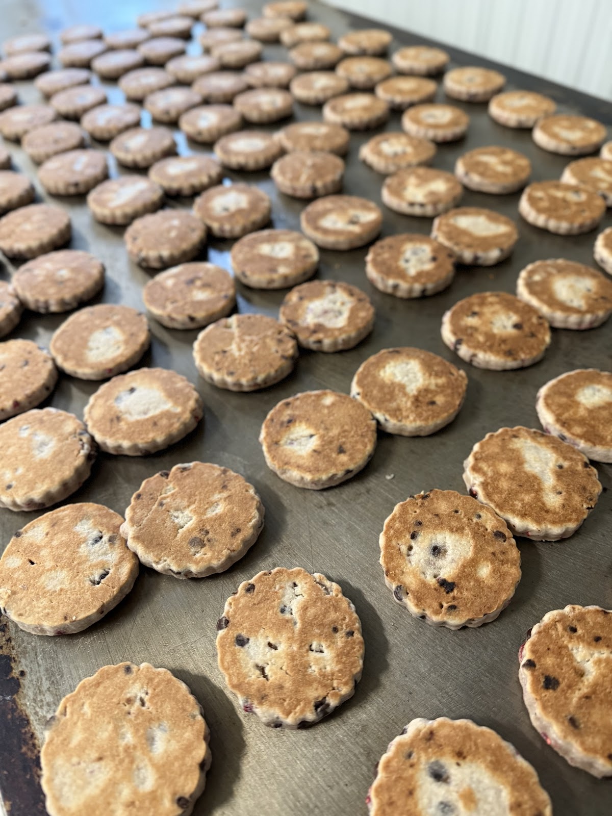 Mamgu Welshcakes