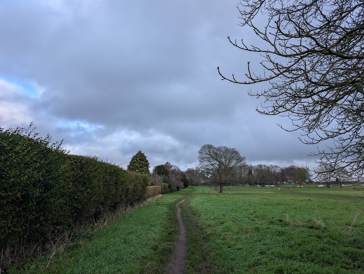 Merrow Downs