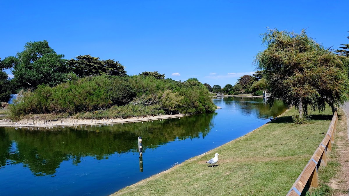 Mewsbrook Park