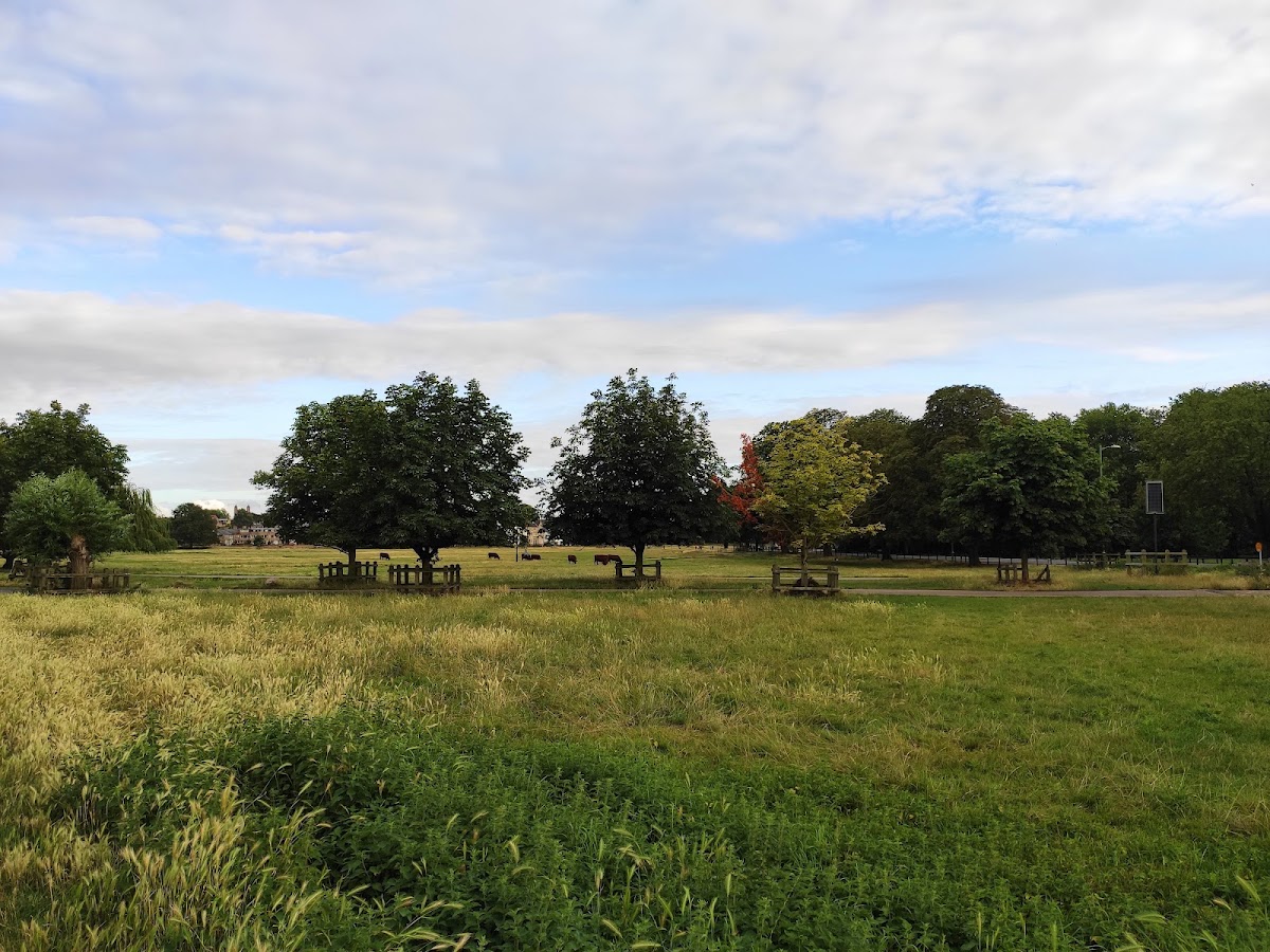 Midsummer Common