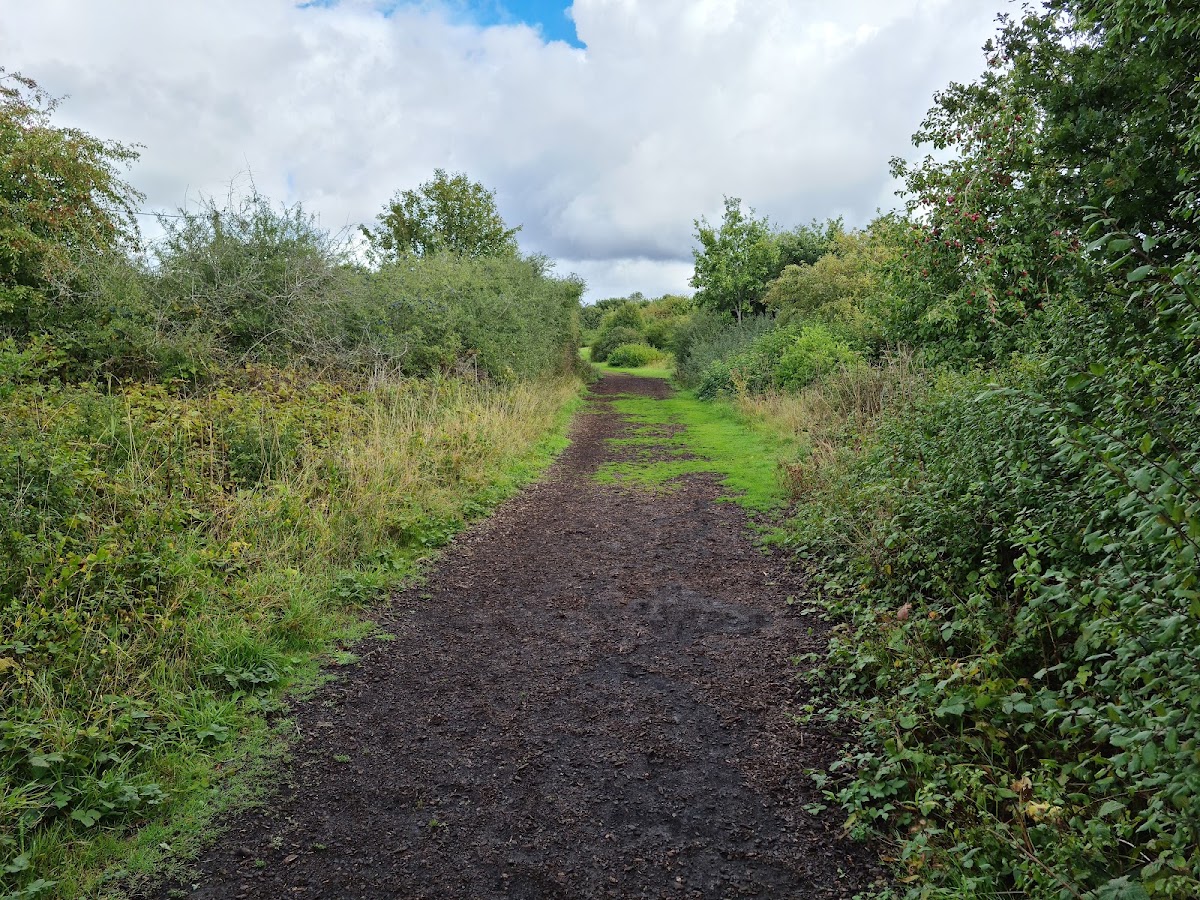 Mill Field Nature Reserve