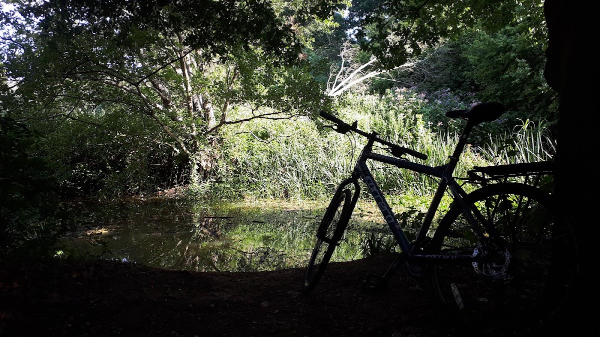 Millhams Mead Nature Reserve