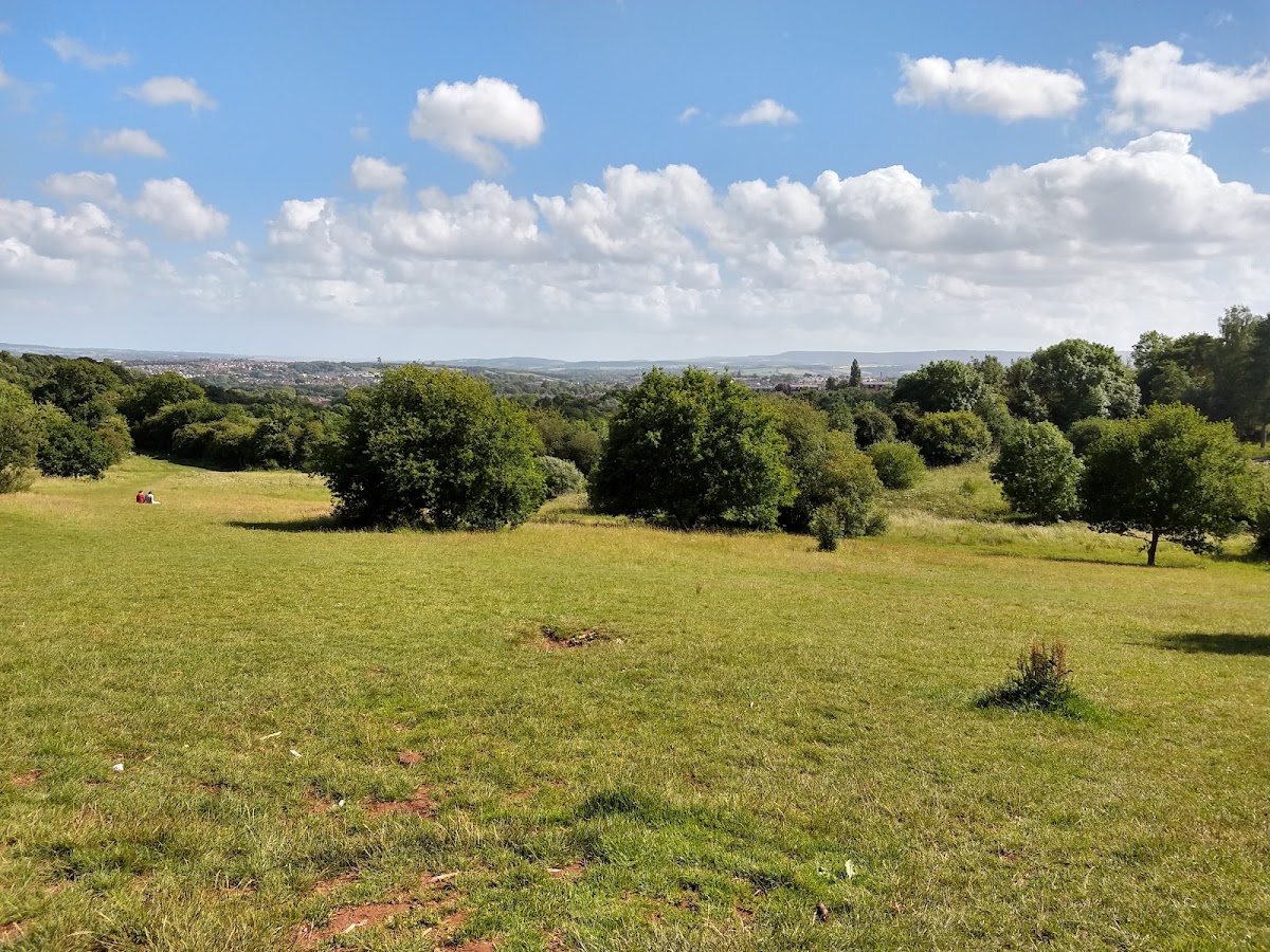 Mincinglake Valley Park