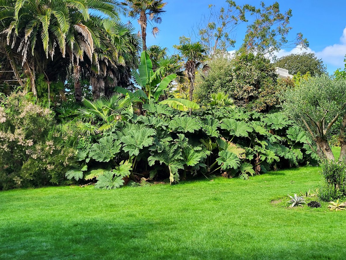Morrab Gardens