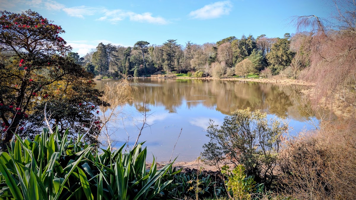 Mount Stewart