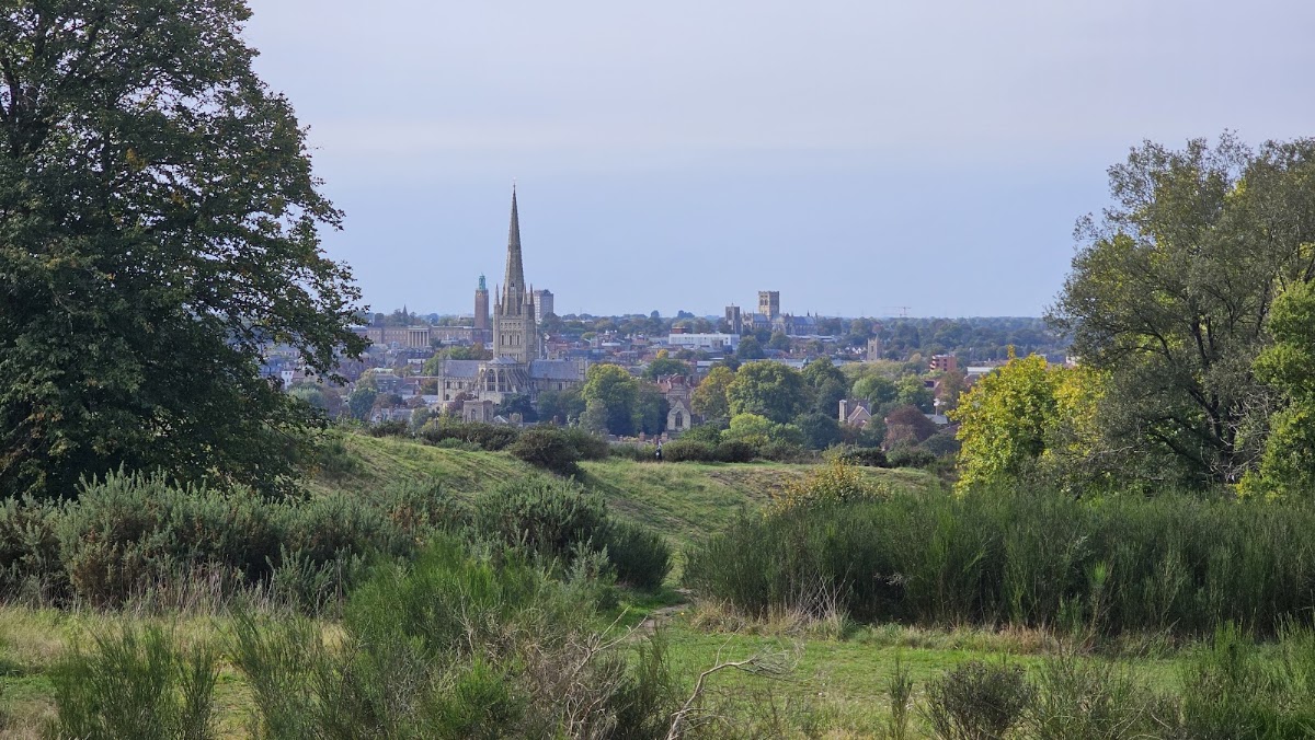 Mousehold Heath