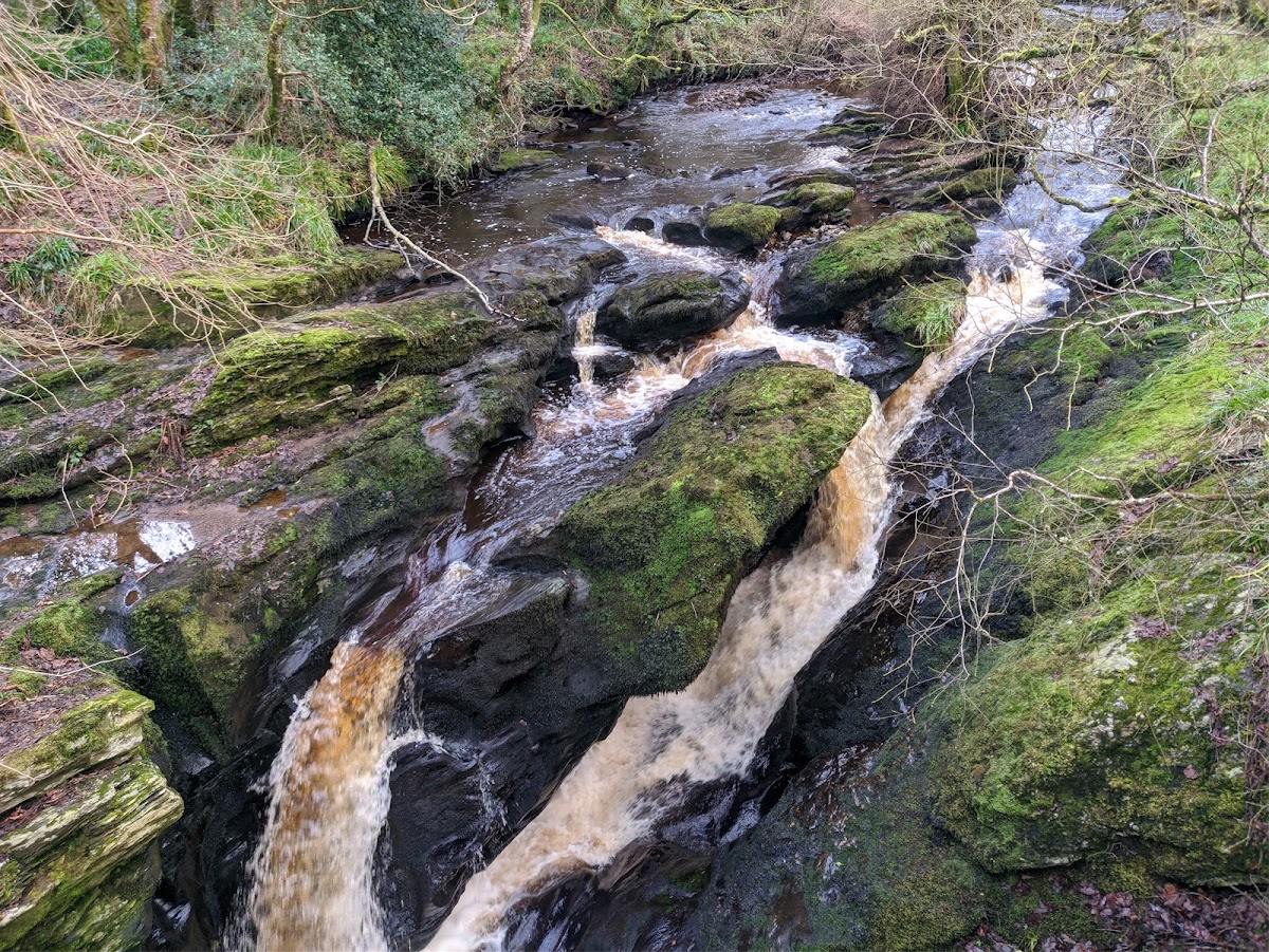 Ness Country Park