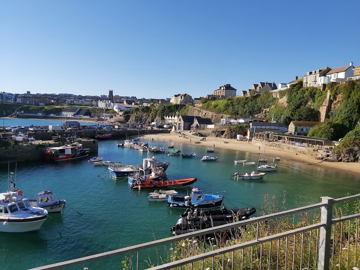 Newquay Sea Safaris