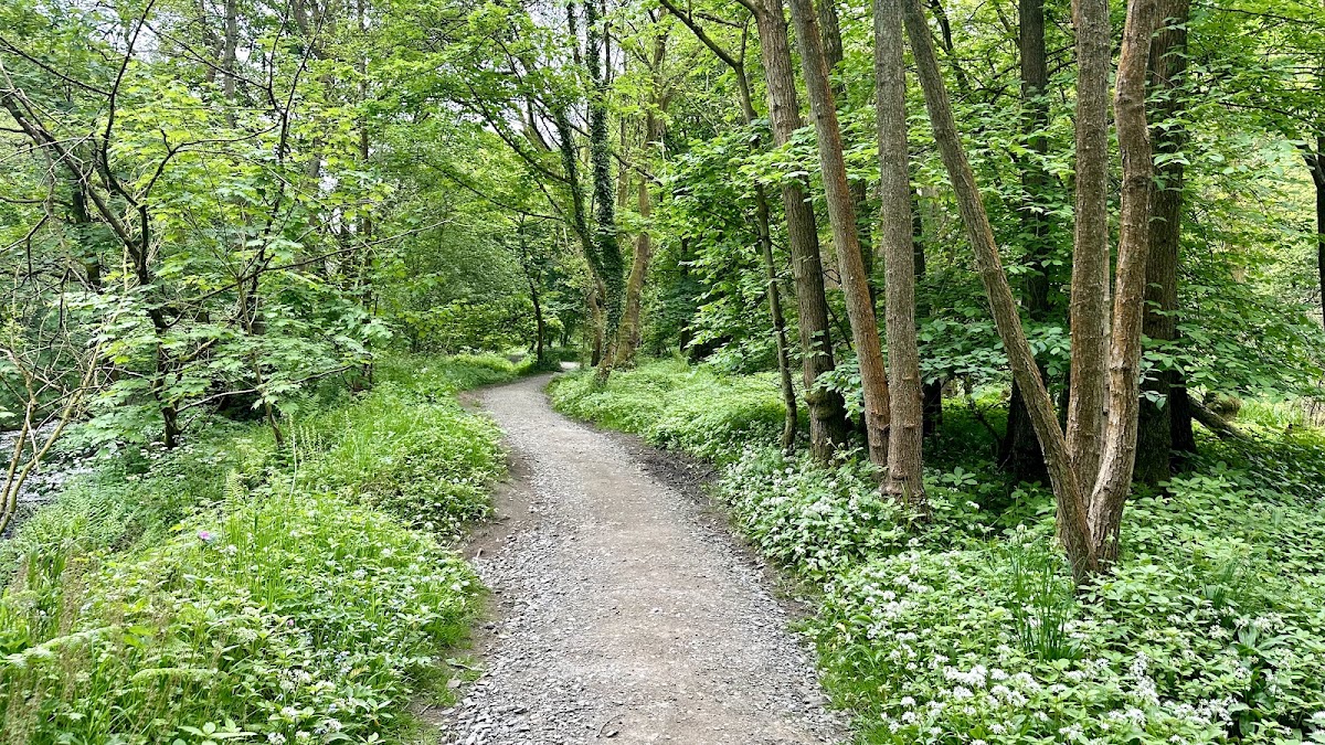 Nidd Gorge