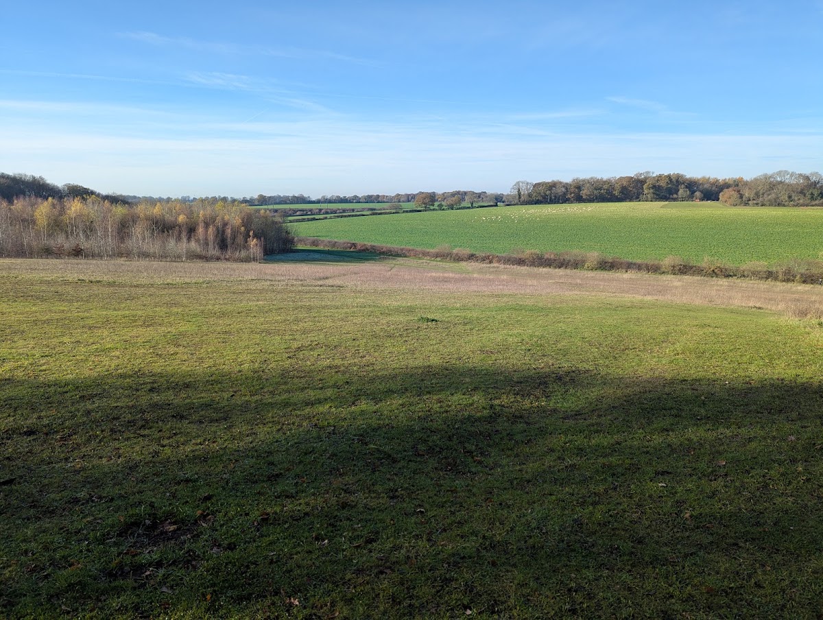 Nomansland Common