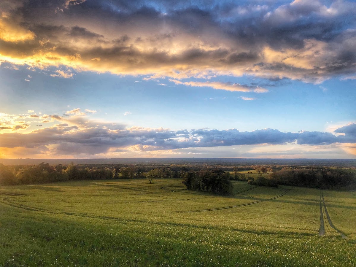 North Downs Way
