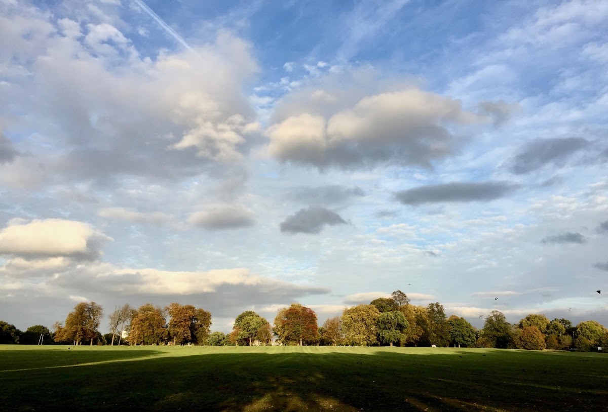 Old Deer Park