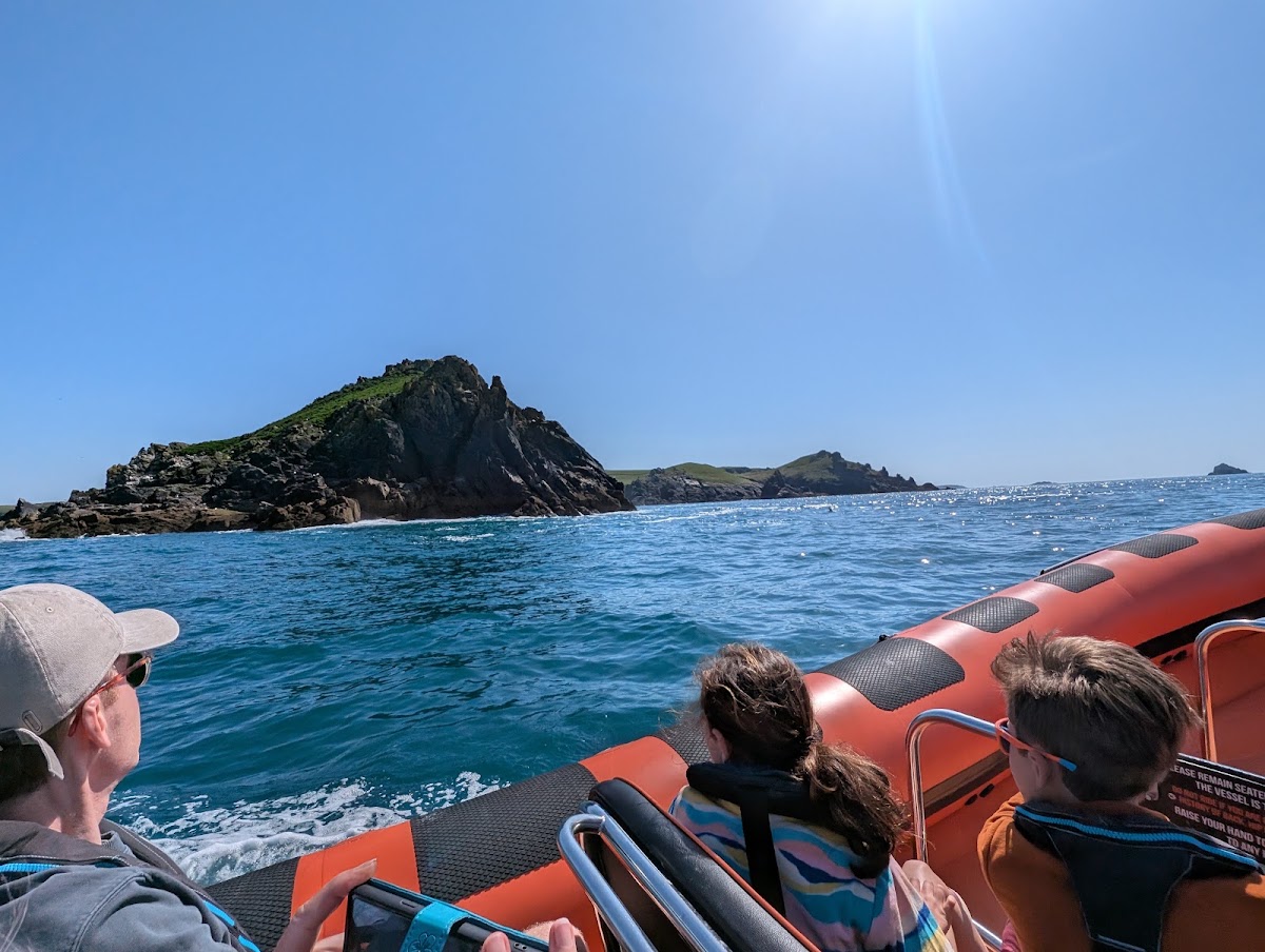 Padstow Sealife Safaris