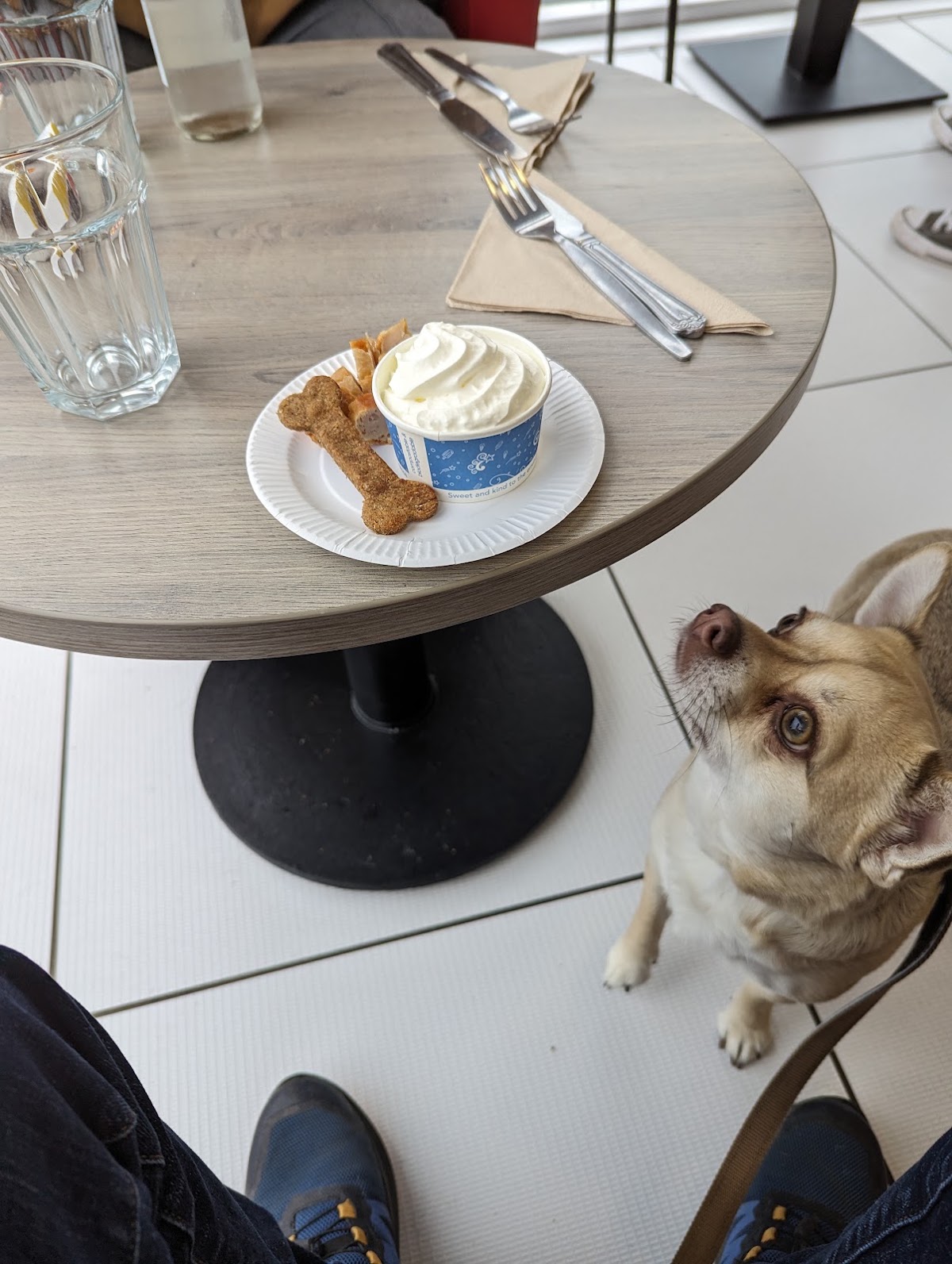 Paws And Go