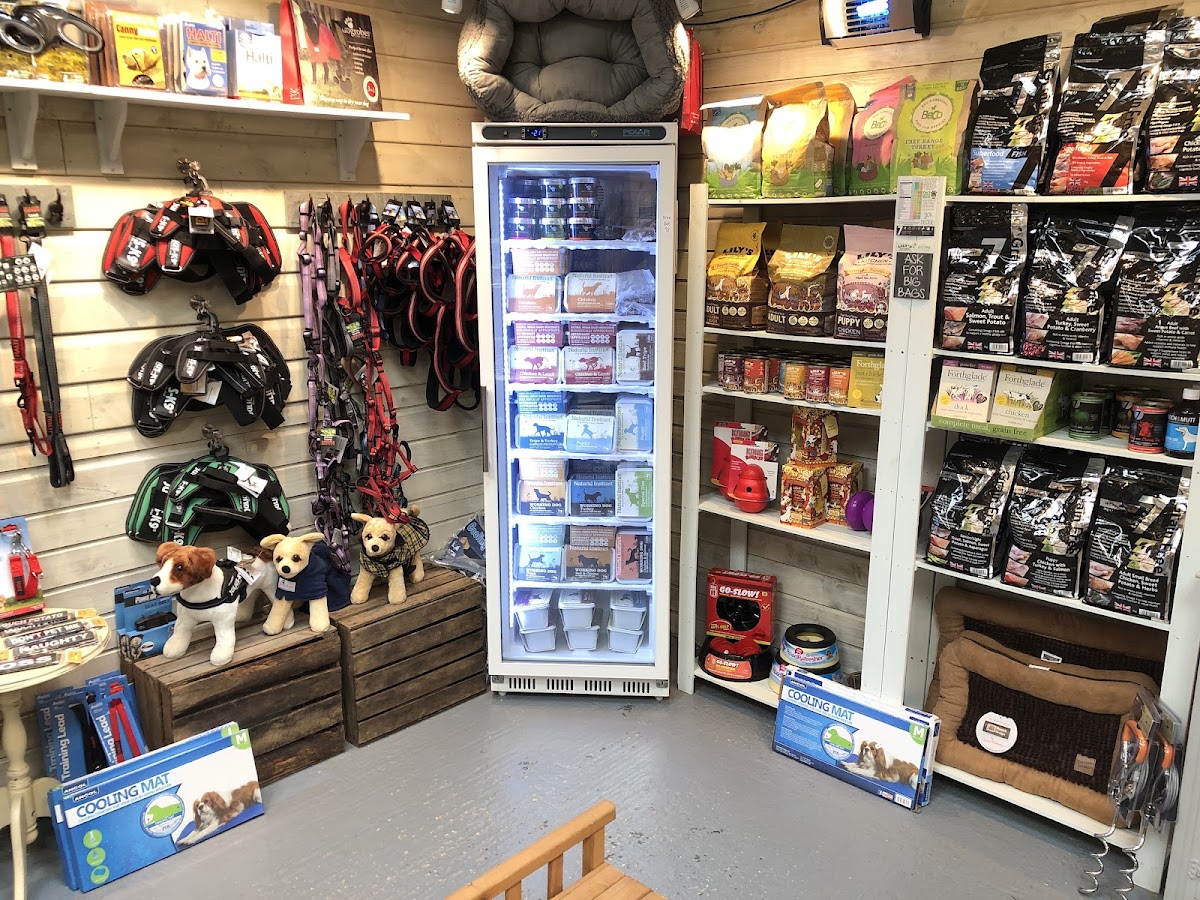 Paws in Padstow