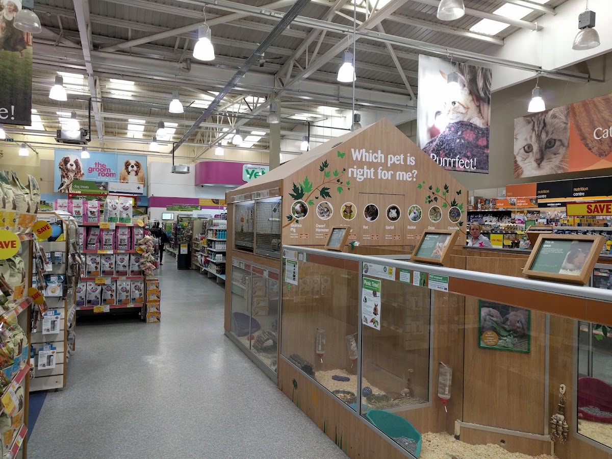 Pets at Home Poole
