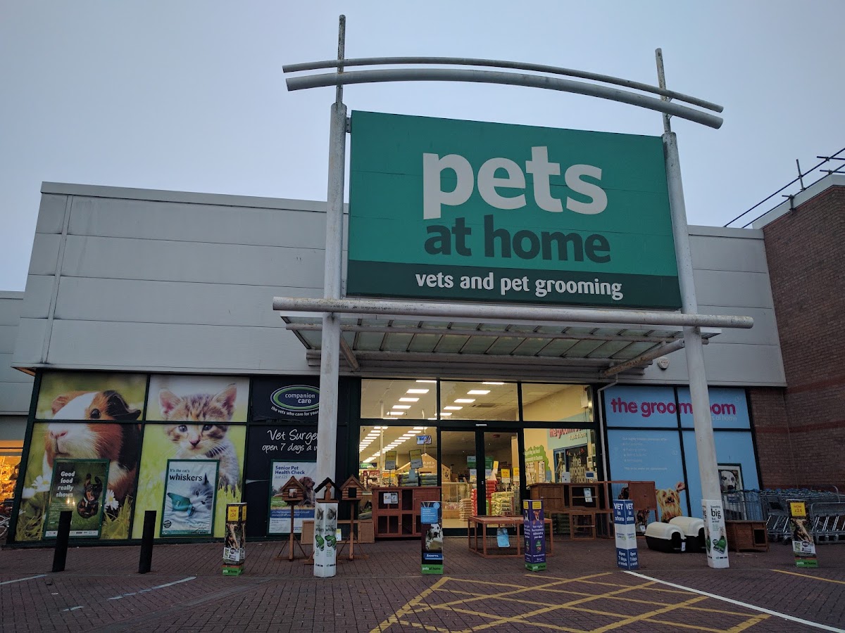 Pets at Home Taunton